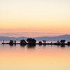 初夏の琵琶湖夕暮れ