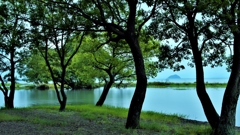 竹生島を望む風景