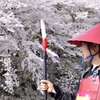 彦根を盛り上げ隊