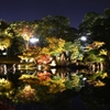 玄宮園ライトアップ