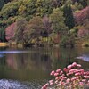 秋を感じる旅　～中綱湖～