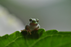 カメラに興味深々