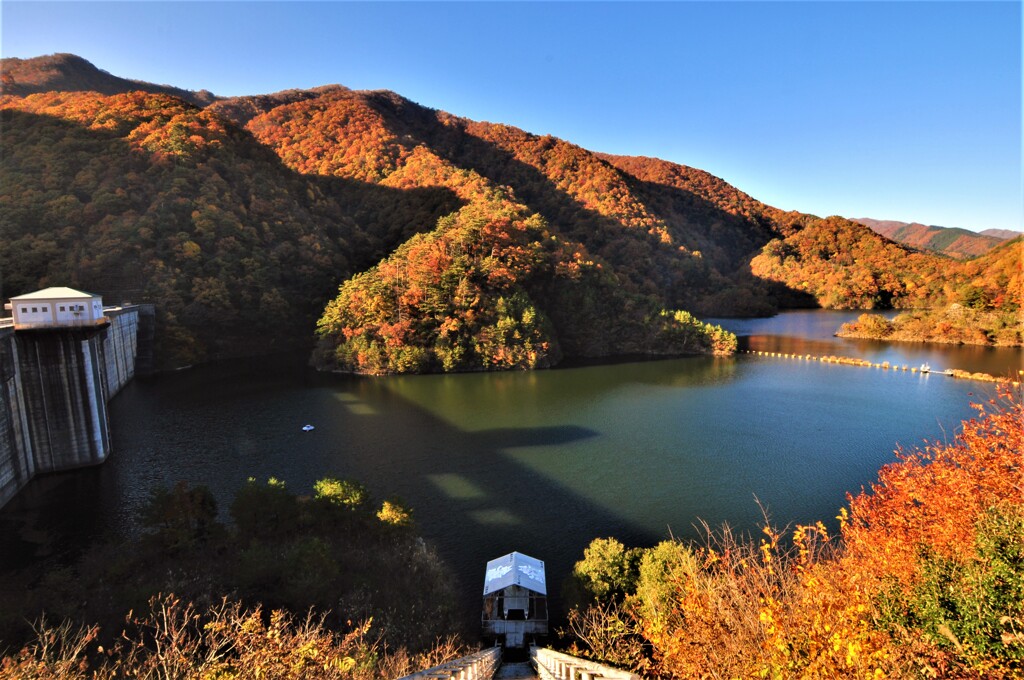 姉川ダムも秋模様～影～