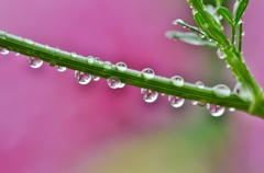 雨粒のメロディー