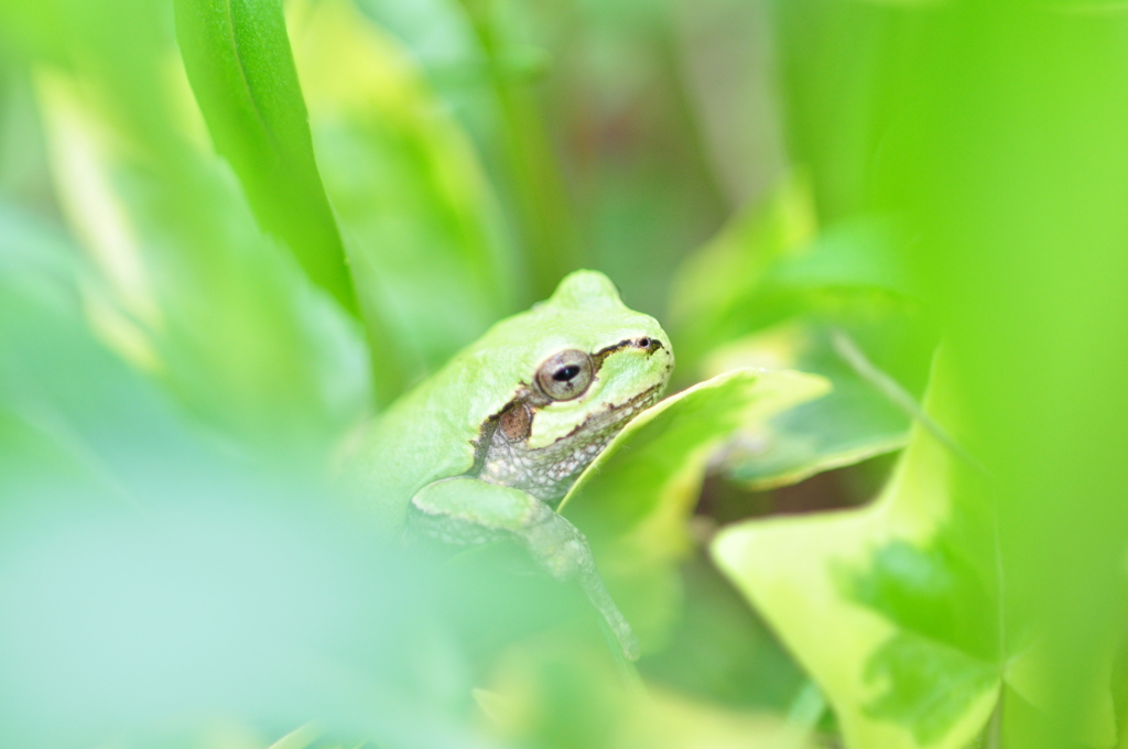 陽気に誘われて