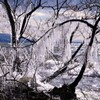 琵琶湖のしぶき氷　～バーチャイムのように～