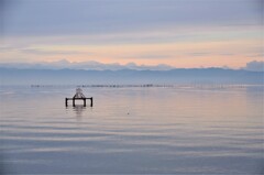 琵琶湖の色彩を楽しむ