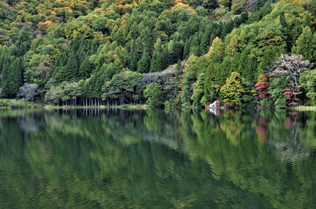 秋を感じる旅　～中綱湖の秋～