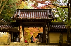 永源寺の秋