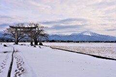 竹生島神社一の鳥居