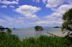 緑と青の湖北風景