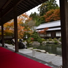 秋の記憶2019　Ⅲ　～百済寺庭園を愛でる～