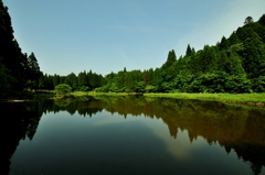 緑の平池　Ⅰ