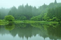 初夏の平池Ⅱ