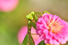 こんにちは　カマちゃんです☆