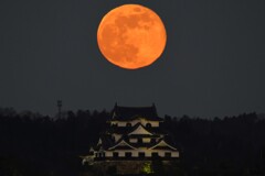 彦根城と満月