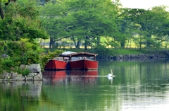 新緑のお濠での出逢い