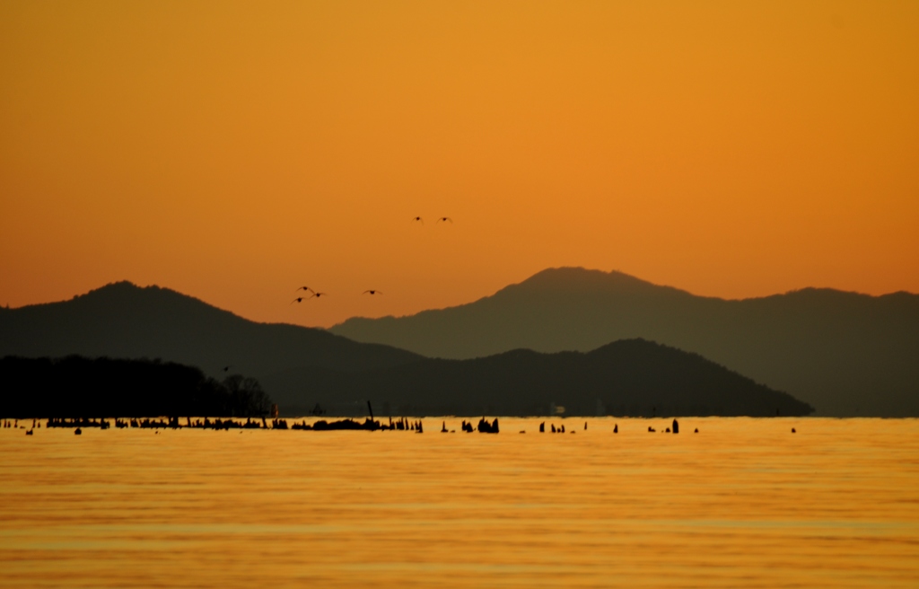 81.お家へ帰ろう！