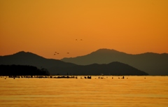 81.お家へ帰ろう！