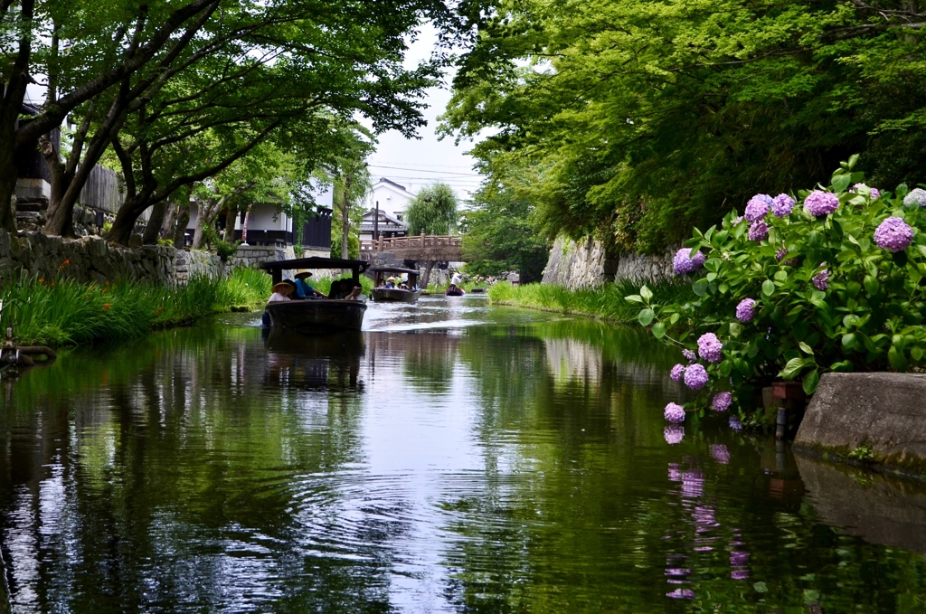 6月の八幡堀