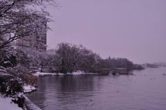 116.琵琶湖雪景色Ⅰ
