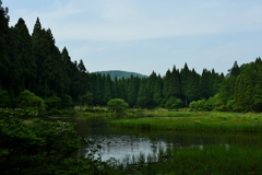 緑の平池　Ⅱ