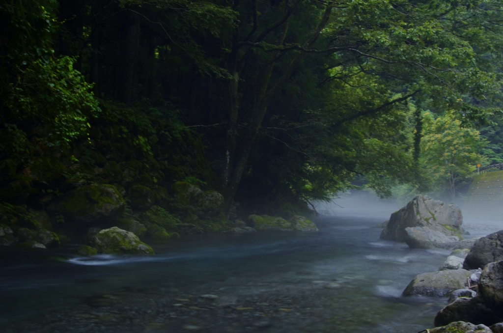 清流に遊ぶ～川霧～