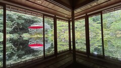 夏の記憶2025　～竹林院～