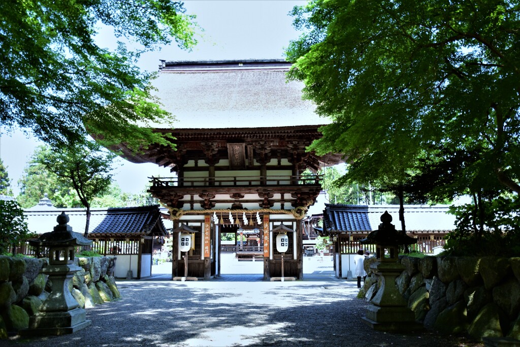 新緑の沙沙貴神社