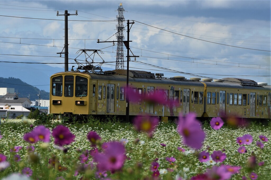 秋のローカル電車