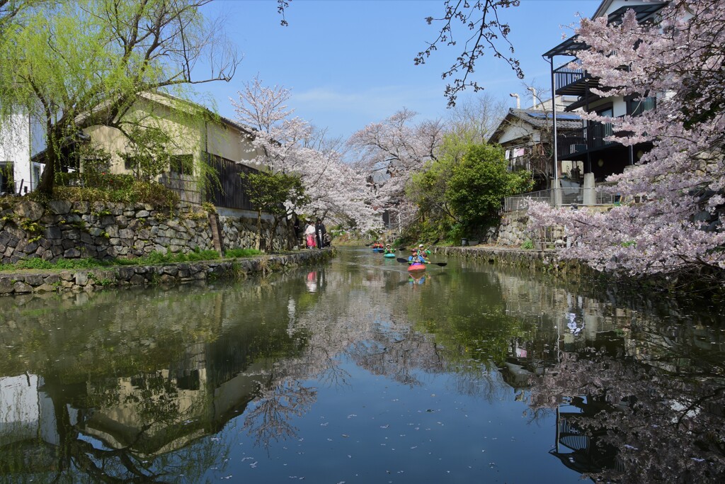 八幡堀春の風景