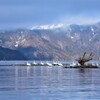 冬　琵琶湖の風景