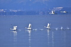 琵琶湖を走る,飛ぶ