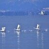琵琶湖を走る,飛ぶ