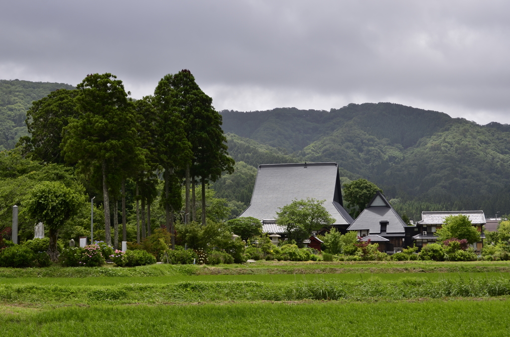 あじさいのお寺　全長寺