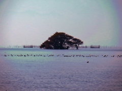 5.静寂