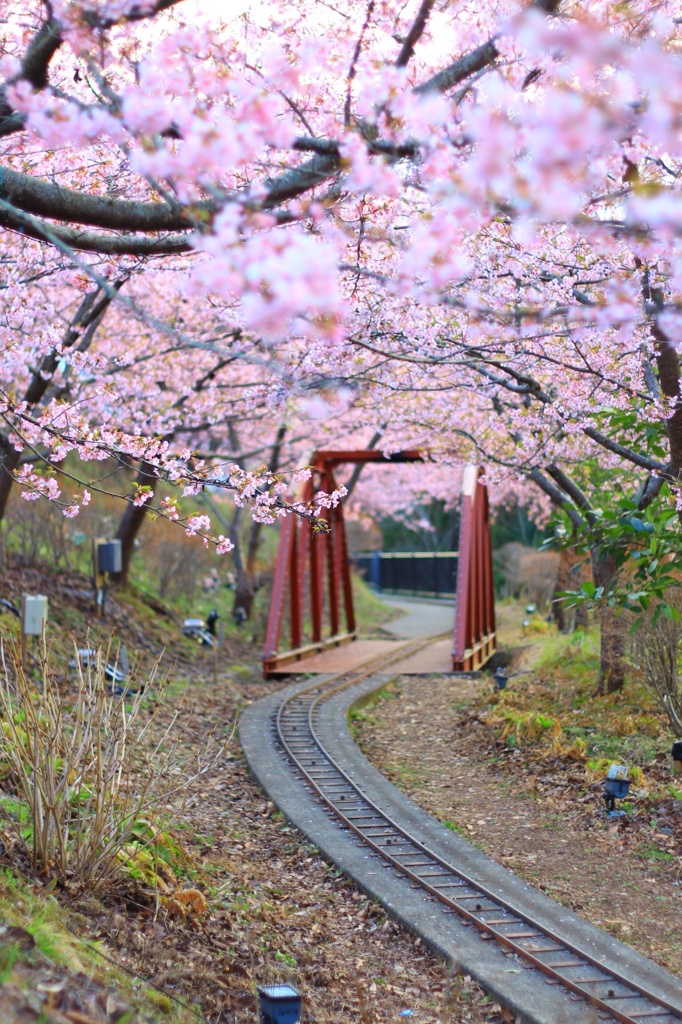 春の訪れ