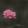 ぽわぁ〜ん　な感じ