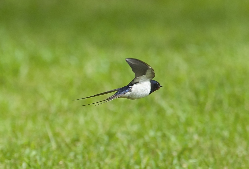 振り回されて、、２