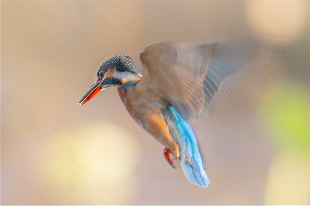一年を振り返る。