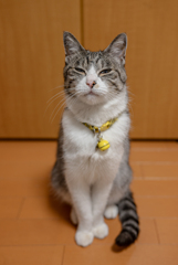 長男坊。