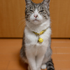 長男坊。