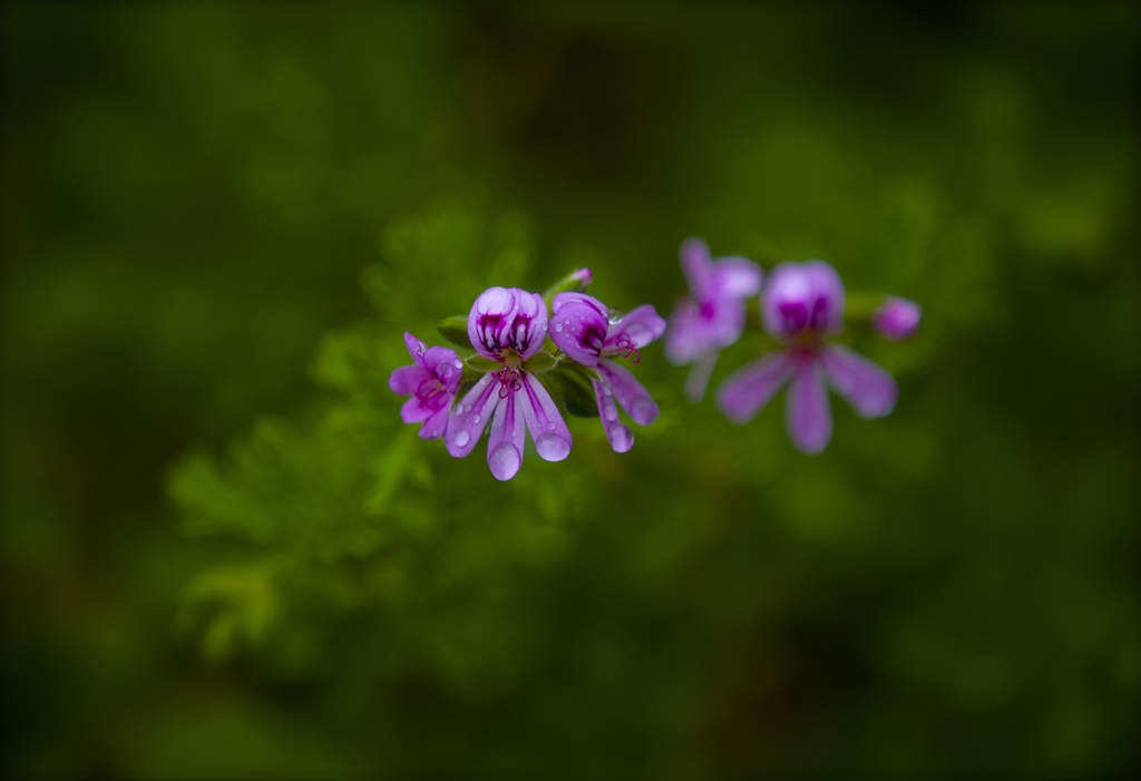落ちそうで落ちない