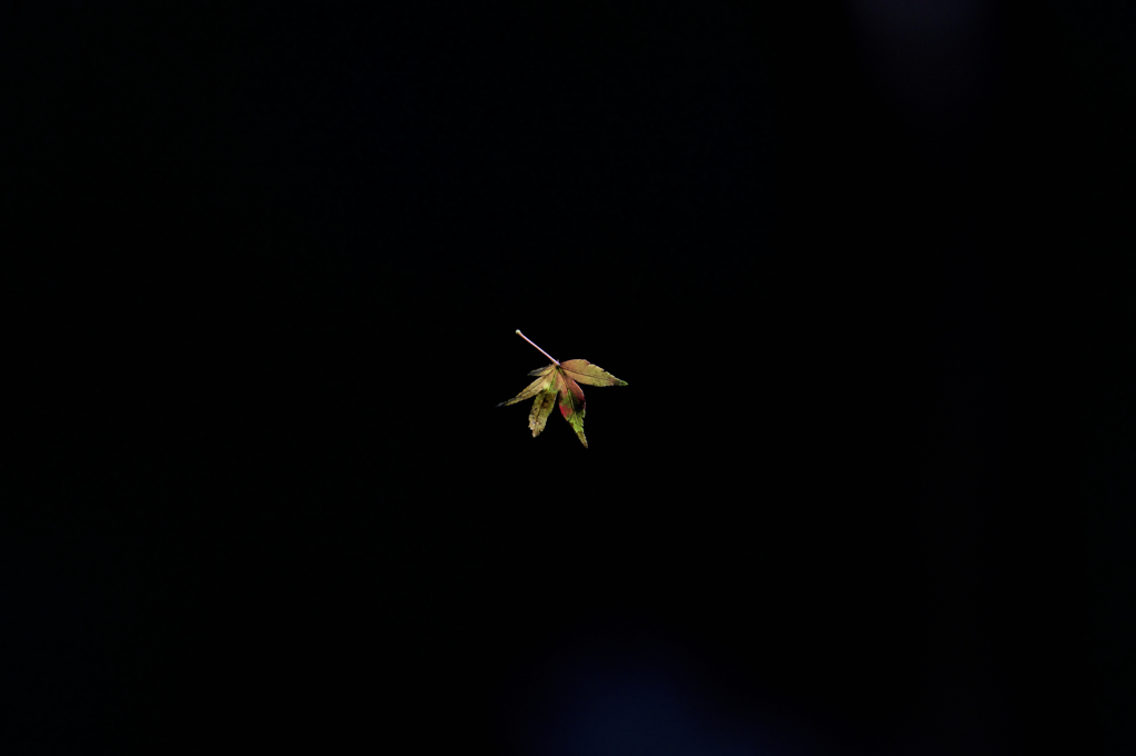 種も仕掛けもございます！