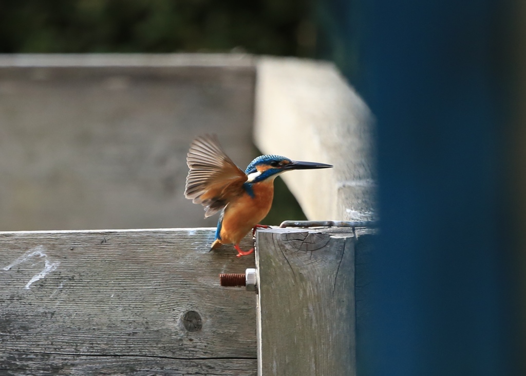 おっとっと、、