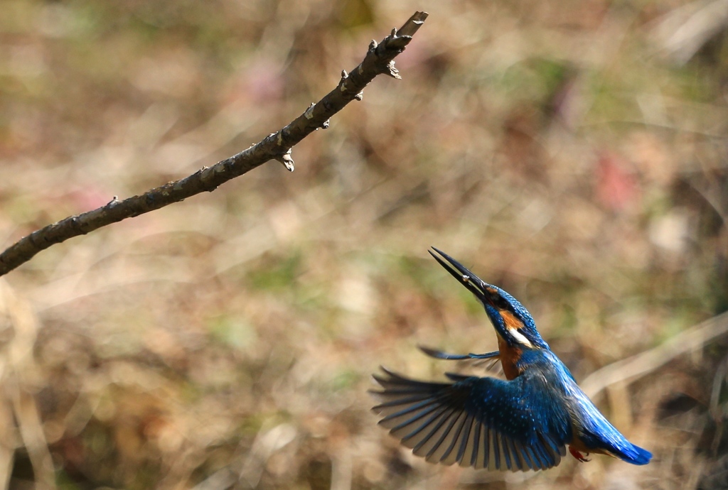 そこで食べよ〜