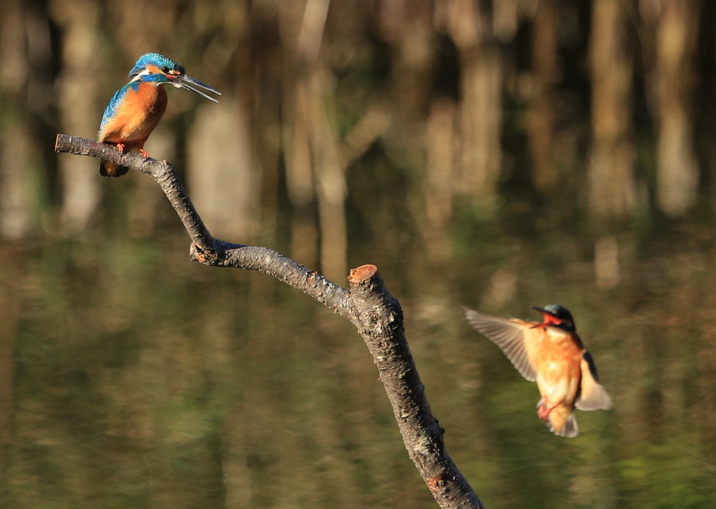 ちょっとアンタ!!!
