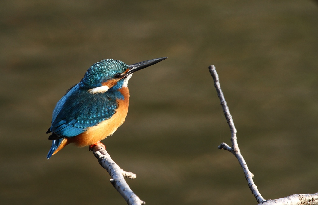 見つめる先は、、