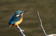 見つめる先は、、