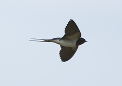 振り回されて、、